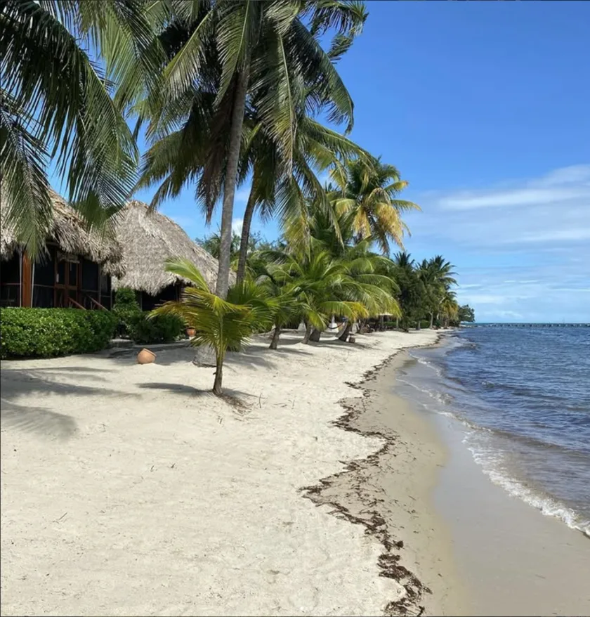A palm-lined white sand beach in Belize, thatched cabanas set back from calm shallow water.