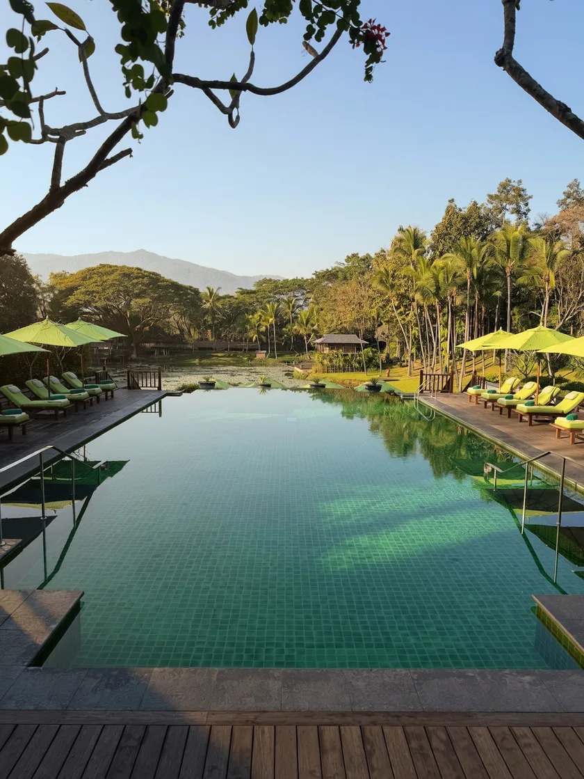 An infinity pool at dawn looking out over still water, palms and distant mountains.